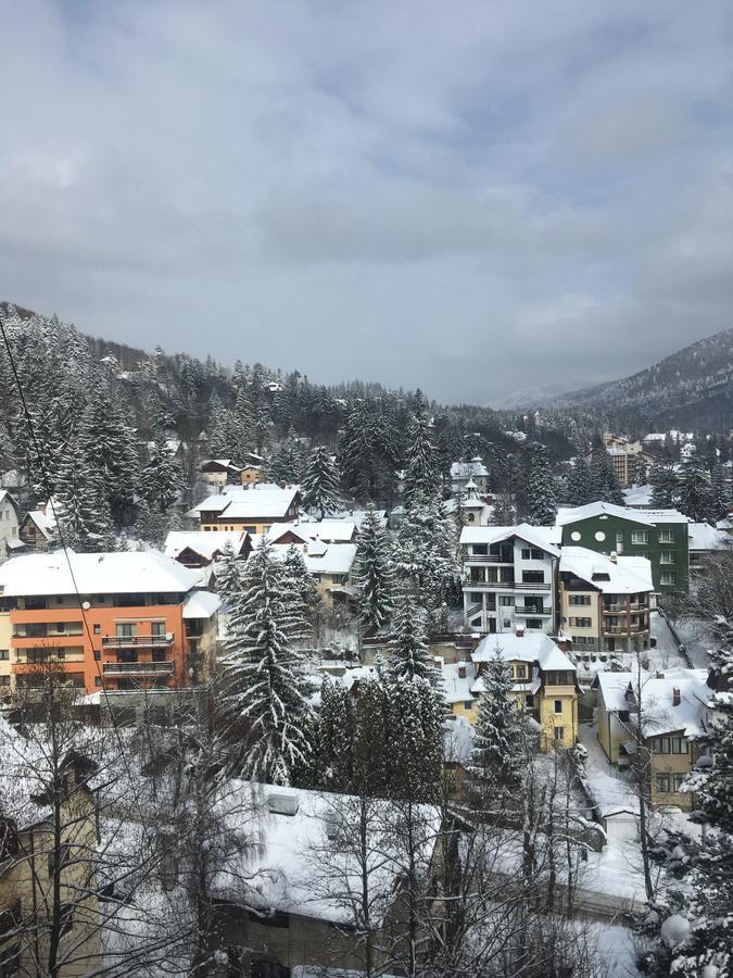 Apartament View *
